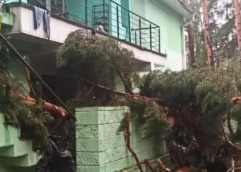 В детском лагере из-за падения деревьев пострадали 7 детей. Из них – 1 погиб