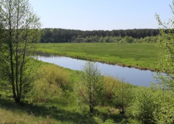 Природа Беларуси