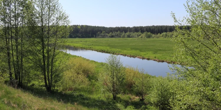 Природа Беларуси