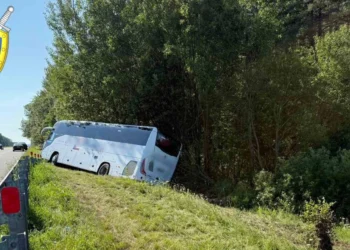 На трассе M6 в Воложинском районе автобус съехал в кювет