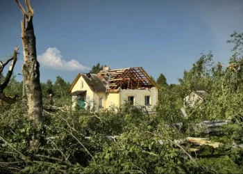 Последствия непогоды в деревне Вархи Городокского района. 9 июля 2025 года, Витебская область.